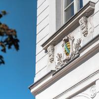 Altbaucharme in der Innenstadt Sachsen - Freiberg Vorschau