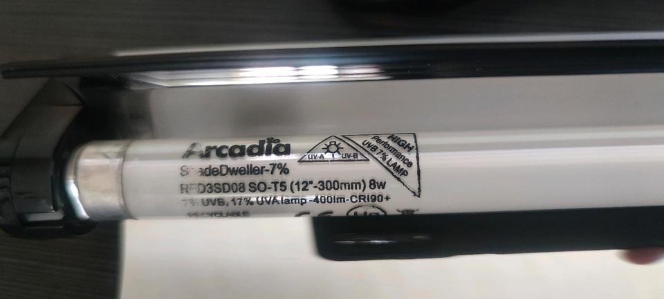 Arcadia Shadedweller 7% UV Licht für Leopardgecko mehrfach da in Büdelsdorf