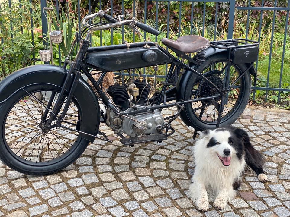 ‼️SUCHE‼️ Dkw Diamant Schüttoff Wanderer Opel Motoclub Vorkrieg in Nossen