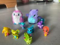 Hatchimal Sammlung Figuren rar Sammeln Collection Bayern - Altdorf bei Nürnberg Vorschau