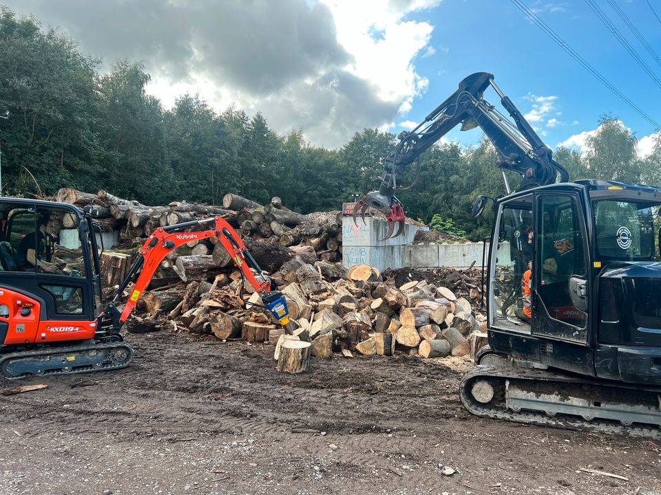 Brennholz Feuerholz Stammholz in Witten