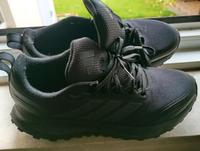 Schuhe Größe 38,5 Nordrhein-Westfalen - Herford Vorschau
