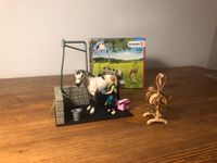 Schleich 42104 HORSE CLUB – Pferde Waschplatz Berlin - Mitte Vorschau