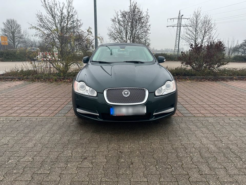 Jaguar XF Diesel in Rosengarten