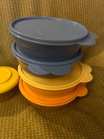 Tupperware Schüsseln mit Deckel Baden-Württemberg - Burgrieden Vorschau