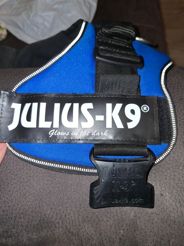 Julius K9 Geschirr Hundegeschirr Powerharness in Seggebruch