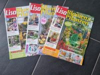 Lisa Blumen und Pflanzen Saarland - Saarwellingen Vorschau