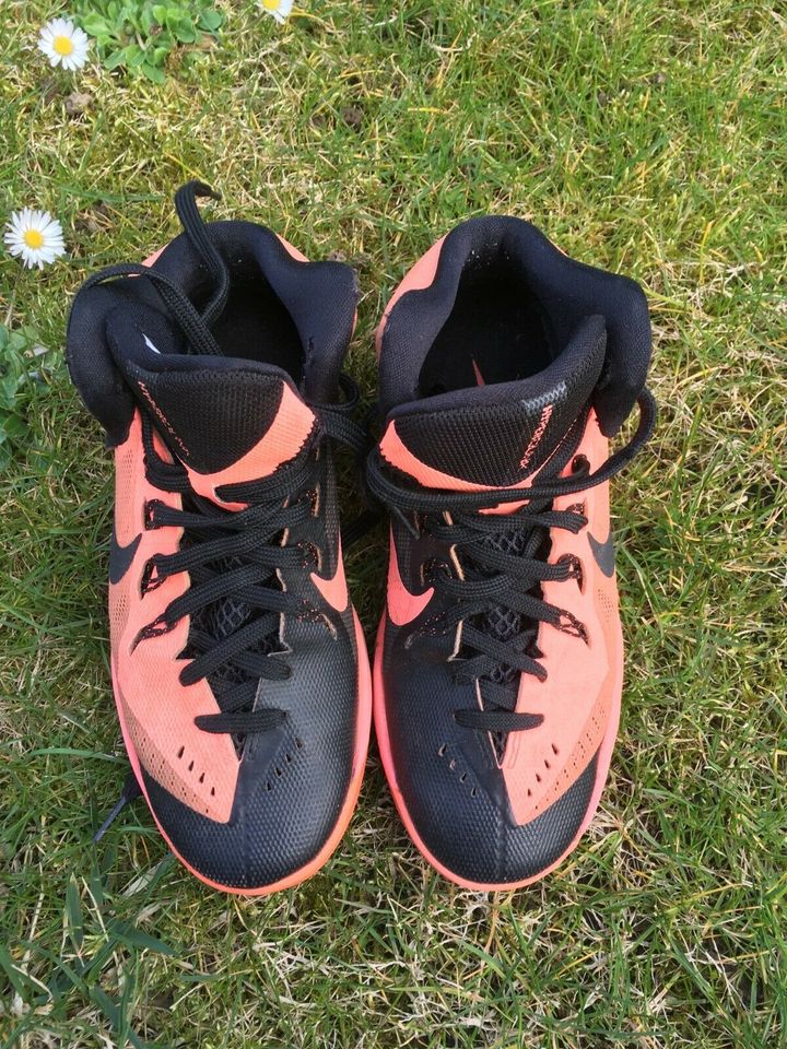 Nike Hyperdunk 36,5 in Jüchen