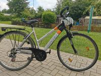 28 Zoll Damen Fahrrad Hessen - Bad Arolsen Vorschau