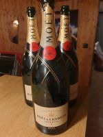 Moët & Chandon Champagner Flaschen leer Deko Hessen - Kassel Vorschau