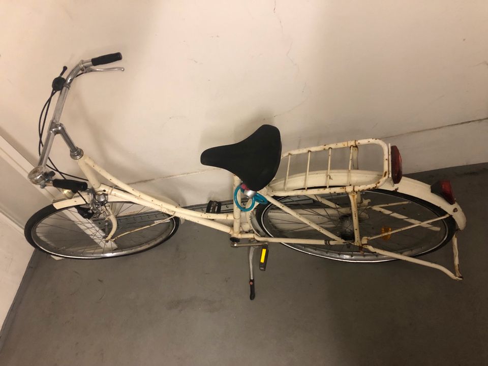 Fahrrad Hollandrad in Werl
