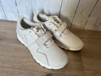 Nike SB Trainerendor Premium US10,5 44,5 Brandenburg - Eggersdorf Vorschau