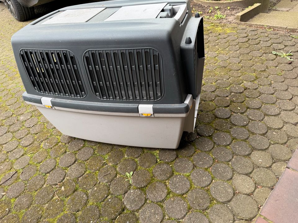 Transportbox für Hunde in Struvenhütten