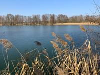 Ferienbungalow am Angel- und Badesee - Naturcamping in Spreewaldnähe Dahme/Mark-Kemlitz - Heideblick Vorschau
