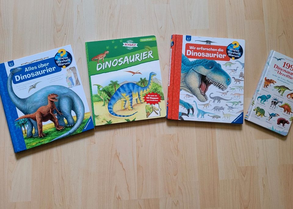 Dinosaurier Bücher mit Klappen in Warburg