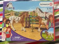 Schleich, Pferde Set plus Hindernislauf Niedersachsen - Papenburg Vorschau