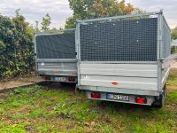 Container Anhänger Grünschnitt Gartenabfall Strauchschnitt Tanne Berlin - Neukölln Vorschau
