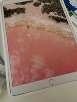 iPad Pro (2017) rosegold 256GB (10.5-inch) München - Altstadt-Lehel Vorschau