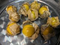 Saatgut Physalis Andenbeere Kapstachelbeere Baden-Württemberg - Bad Teinach-Zavelstein Vorschau