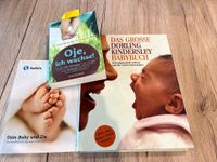 3 Baby Bücher Entwicklung „Das große Dorling Kindersley Babybuch“ Baden-Württemberg - Gengenbach Vorschau