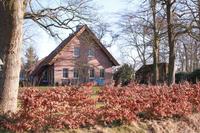 Wohnen und Arbeiten, wo andere Urlaub machen! Niedersachsen - Blomberg Vorschau