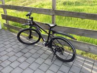 Mountainbike Spezialized Hessen - Zwingenberg Vorschau
