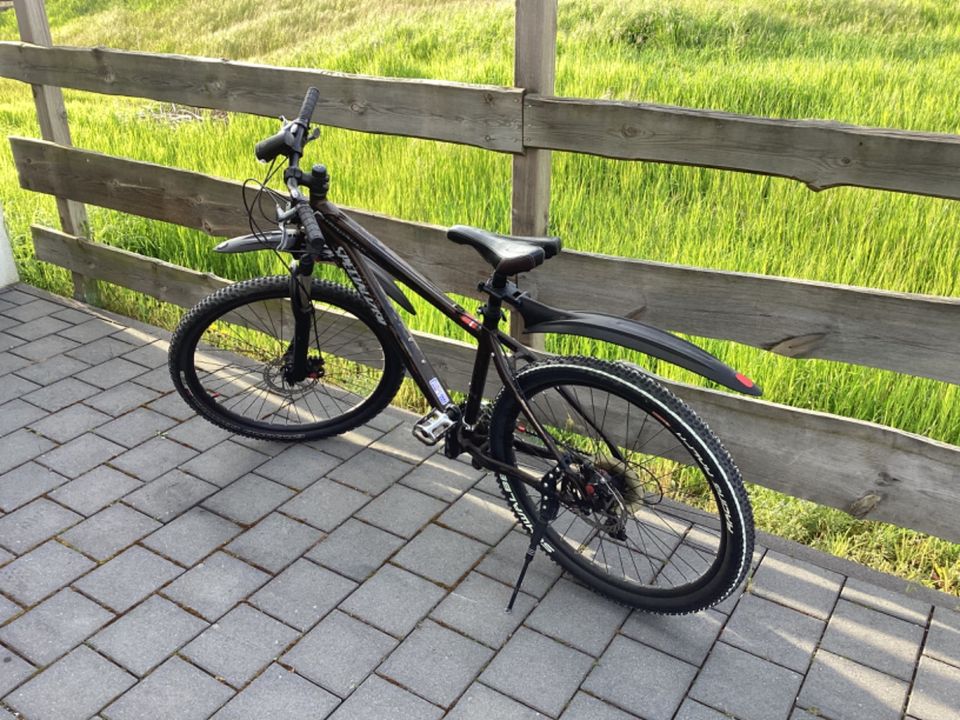 Mountainbike Spezialized in Zwingenberg