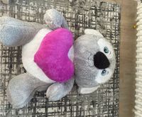 XXL Teddybär  koala 1,20m Münster (Westfalen) - Coerde Vorschau