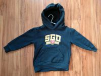 SG Dynamo Dresden Hoodie Kapuzenpullover Gr. 116 Dresden - Niedersedlitz Vorschau