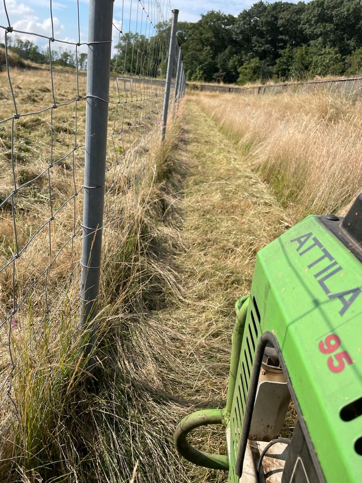 Gartenpflege Gärtner Grünpflege Rasen mähen mulchen Greenkeeping in Titz