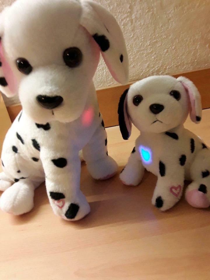 Hunde Mutter mit Kind, bellen,leuchten bei Trennung zusammentreff in Lübeck