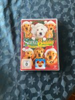 Santa Buddies DVD Lingen (Ems) - Biene Vorschau