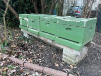 suche Grünfläche zum Abstellen von Bienenkästen für Honig Rheinland-Pfalz - Worms Vorschau