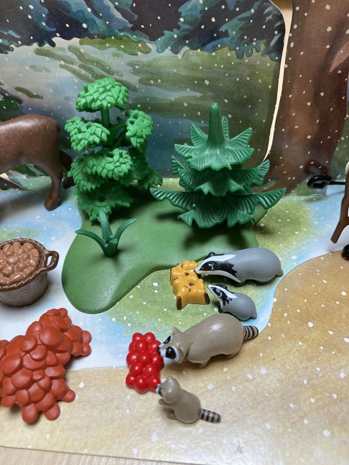 Playmobil Wildtiere mit Winterlandschaft und Weihnachtsmann in Brande-Hörnerkirchen