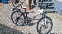 26" Mountainbike mit mit 21 Gang Baden-Württemberg - Nürtingen Vorschau