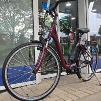 E-Bike*Kalkhoff*Bosch Plus*500Wh* Münster (Westfalen) - Wolbeck Vorschau