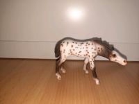 Schleich Fohlen Pferde 1992-2011 Sammlerstücke Bayern - Knetzgau Vorschau