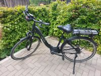 Falter E-Bike 9.0 Schleswig-Holstein - Rickling Vorschau