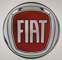 Dringend !! OBD Fehlerdiagnose am Fiat Ducato III Typ 250 Brandenburg - Dallgow Vorschau