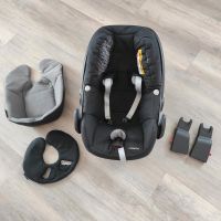 Maxi Cosi Pebble Plus schwarz Nordrhein-Westfalen - Steinheim Vorschau