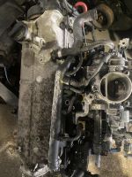 Motor Fiat Panda 1,3 Benzin 2008 bj Nordrhein-Westfalen - Remscheid Vorschau