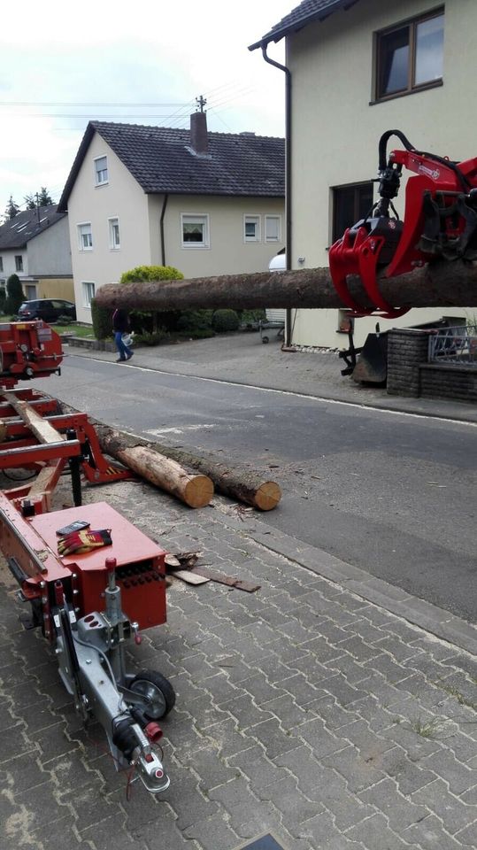 Stammtransport Rückearbeiten in Wertheim