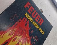 50er Jahre Blechsschild FEUER RAUBT EUREN WALD Saarland - Heusweiler Vorschau