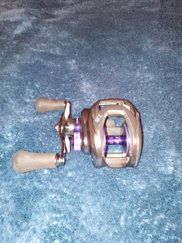 Daiwa Prorex XR TWS 300 in Lübeck