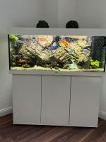 Aquarium Juwel 240l mit Unterschrank und Fischen Bayern - Neu Ulm Vorschau