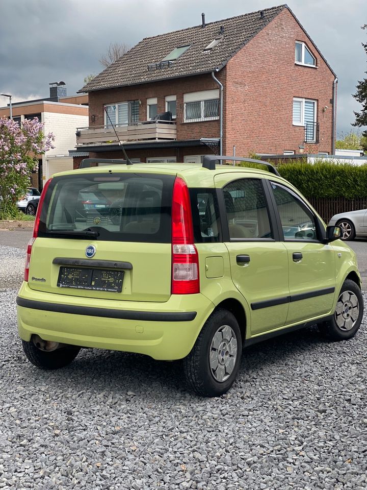 Fiat Panda in Erftstadt
