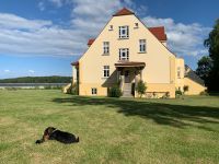 ☀️Urlaub mit Hund: Ferienwohnung1 Grubnow Rügen Neuenkirchen (Rügen) - Vieregge Vorschau