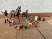 Schleich Hannoveraner Stute mit Fohlen und Zubehör Bayern - Lalling Vorschau