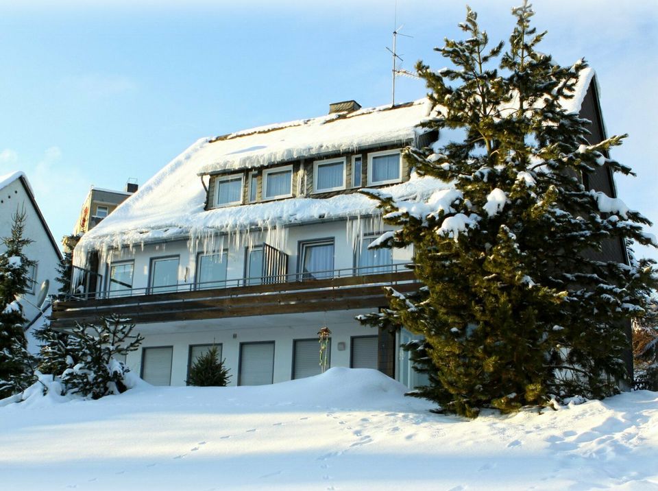 Ferienwohnung Ettelsberg-Panorama (4 P.) Willingen Sauerland Fewo in Willingen (Upland)