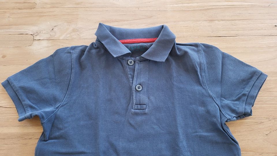 ESPRIT Polo-Shirt blau lachsfarbend pocopiano 122 128 134 in Berlin